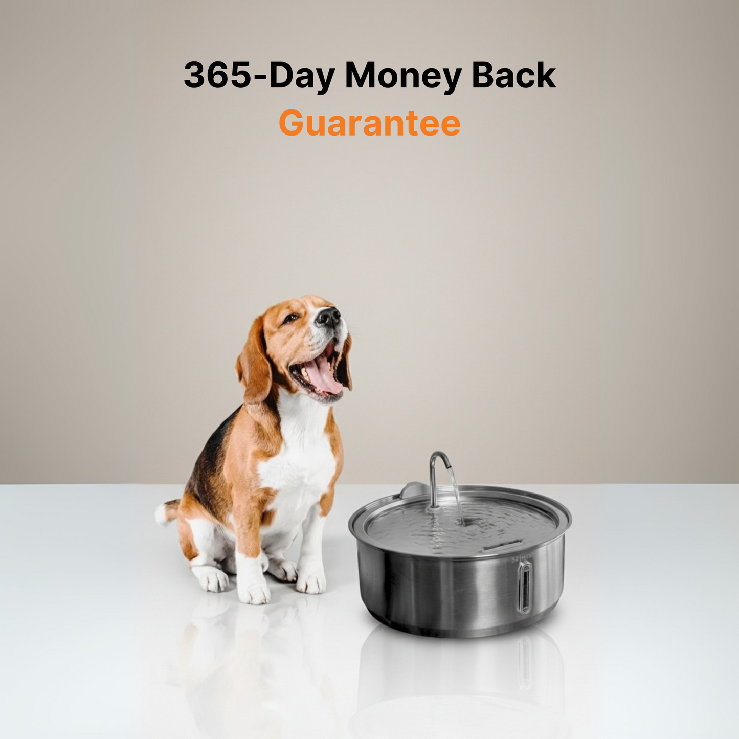 The Doggy Fountain